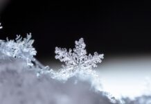 Close-up of a single snowflake with intricate details.