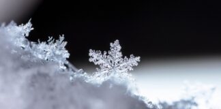 Close-up of a single snowflake with intricate details.