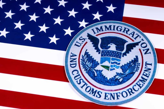 U.S. Immigration and Customs Enforcement emblem on American flag.