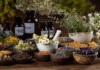 Various dried herbs in bowls and jars with fresh flowers.