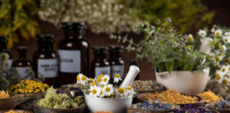 Various dried herbs in bowls and jars with fresh flowers.