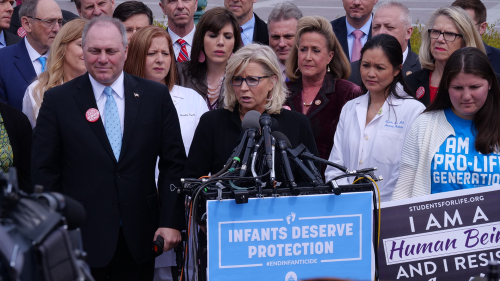 Public figures speaking at an anti-abortion rally.