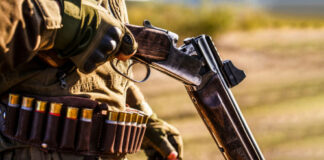 Person loading a double-barreled shotgun with a belt of shotgun shells