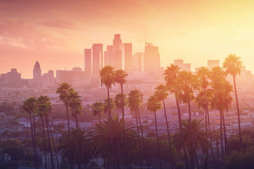 shutterstock_514443148.jpg Los Angeles skyline with palm trees at sunset.