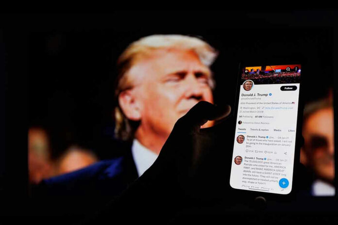 Hand holding smartphone displaying Twitter profile.