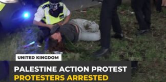 UK Police Arrest Pro-Palestine Protesters Outside Court