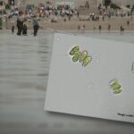 Lincoln Pool Meltdown Sparks Arrest Furor Why has the Lincoln Memorial's Reflecting Pool developed such visible problems?
