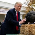 DOJ Walks, Tape Still Hides A man in a suit interacting with a turkey during a Thanksgiving pardon ceremony