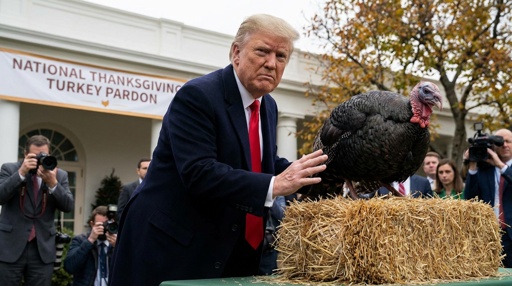 A man in a suit interacting with a turkey during a Thanksgiving pardon ceremony