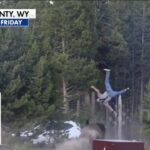 The Federal Rule Yellowstone Visitors Keep Breaking SHOCKING video: Bison sends tourist FLYING at Yellowstone National Park
