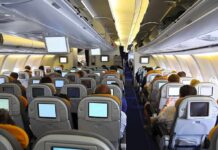 Mid-Flight Meltdown Sparks Germany Uproar Interior view of an airplane with passengers seated and using in-flight entertainment screens