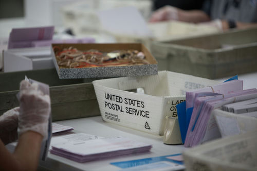 shutterstock_1789887020 Workers handling mail-in ballots at a postal service.
