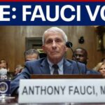 LIVE: Fauci faces senate contempt of congress vote