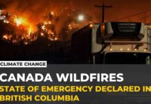 Canada wildfire: 20,000 evacuated as fast-moving blaze spreads in British Columbia