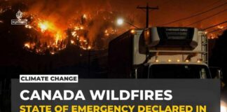 Canada wildfire: 20,000 evacuated as fast-moving blaze spreads in British Columbia