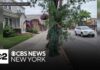 Spy Shrub Ambushes Drivers New Jersey officer disguised as shrub to catch distracted drivers