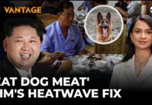 Kim Jong Un's North Korea Recommends Dog Meat Soup to Beat Heatwave | Vantage on Firstpost | 4K