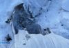 Statue of Mary Vandalized at Queens Church for Second Time in Recent Months