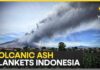 Indonesia Volcanic Eruption Strands Flyers, Residents Forced to Mask Up | WION News