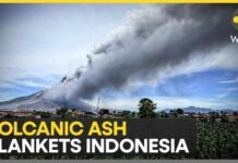 Indonesia Volcanic Eruption Strands Flyers, Residents Forced to Mask Up | WION News