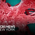 Concerns over Legionnaires' disease are growing in the Bronx