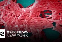 Concerns over Legionnaires' disease are growing in the Bronx