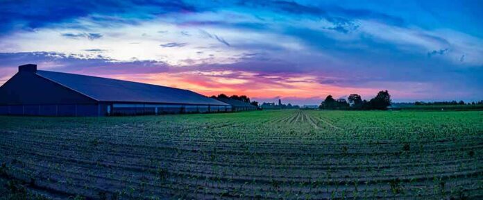 shutterstock_1238176237 Wide farm field at sunrise beside a long barn