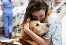 Patient in hospital gown hugging a golden retriever