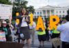Susan Sarandon says she is still losing acting roles over pro-Palestine stance