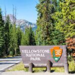 Yellowstone National Park entrance sign by forest road