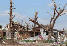 Storm-damaged house with fallen trees and debris