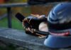 Baseball glove holding a ball on a bench